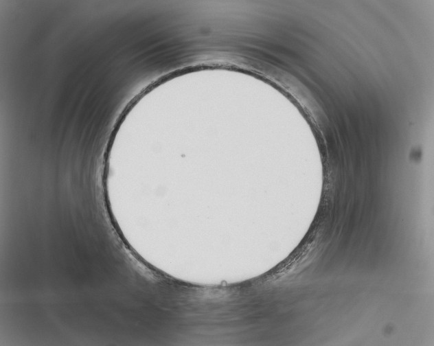 X0000116450799201001191551