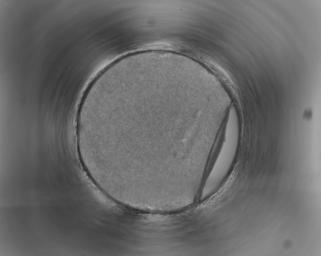 X0000116450800201001191551