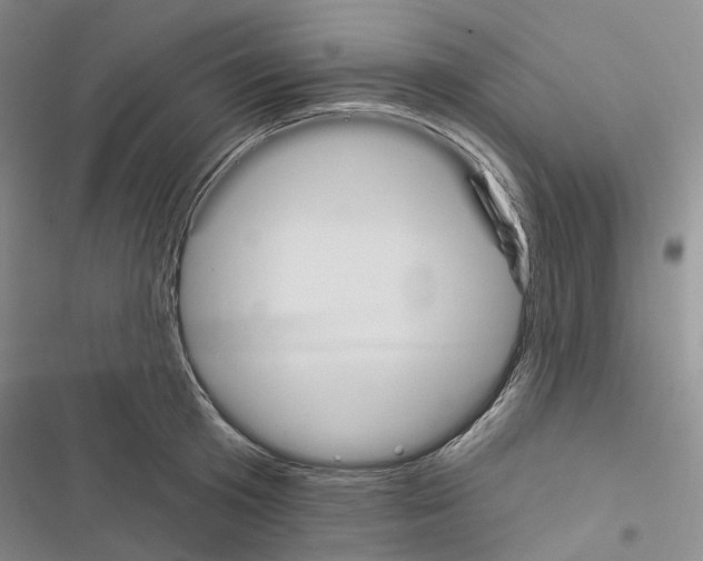 X0000116450801201001191551