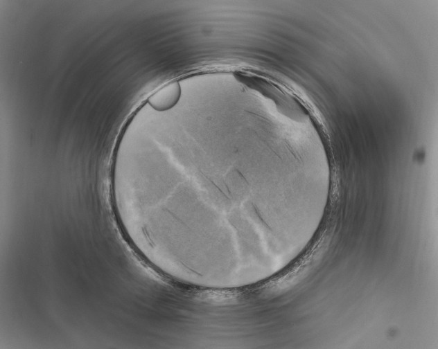 X0000116450802201001191551