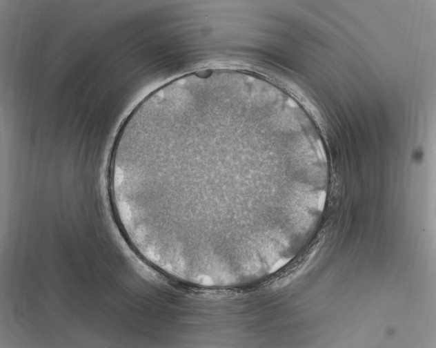 X0000116450803201001191551