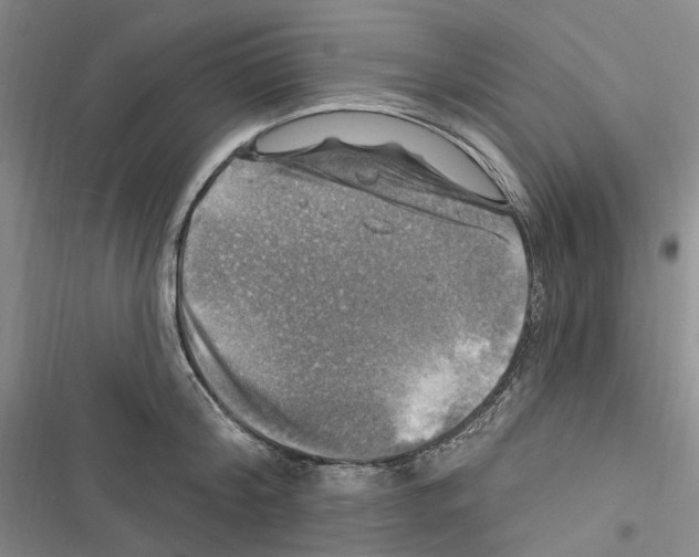 X0000116450804201001191551