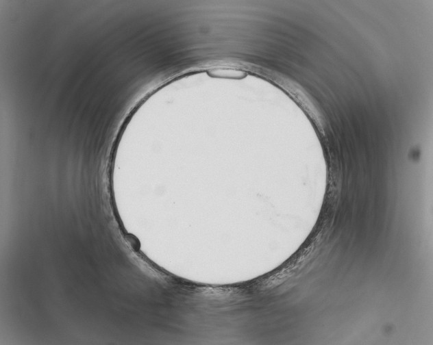X0000116450805201001191551