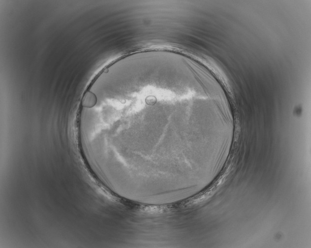 X0000116450806201001191551