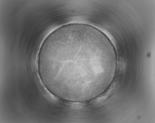 X0000116450807201001191551
