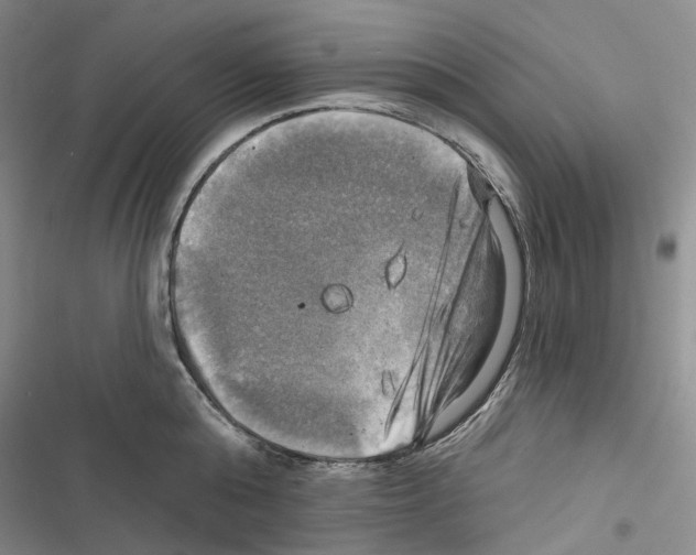 X0000116450808201001191551