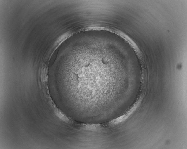X0000116450809201001191551