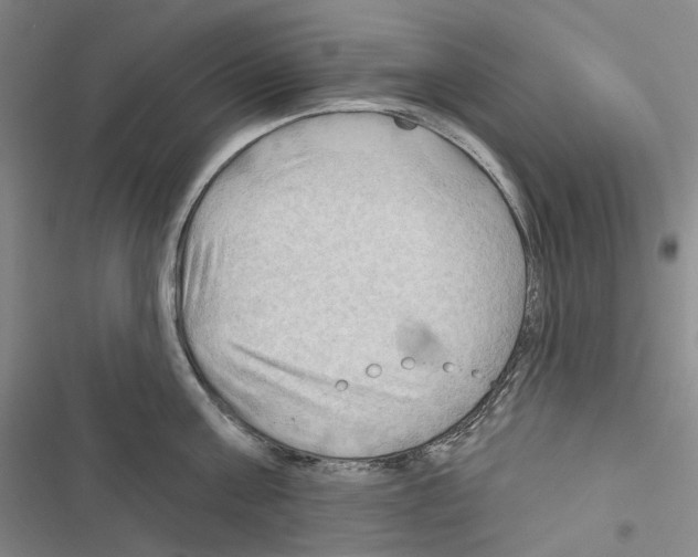 X0000116450811201001191551