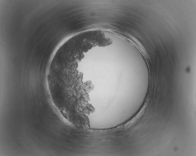 X0000116450812201001191551