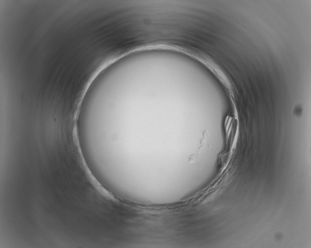 X0000116450813201001191551