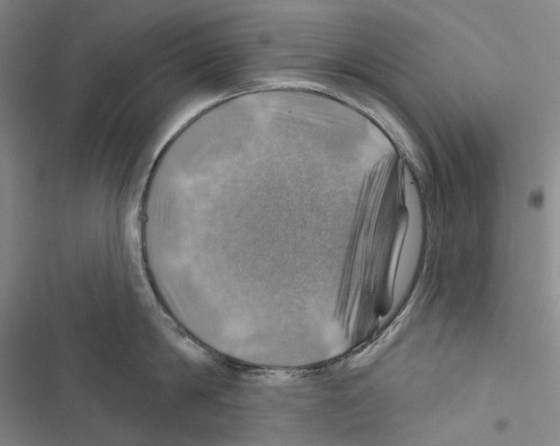 X0000116450814201001191551