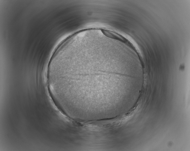 X0000116450815201001191551