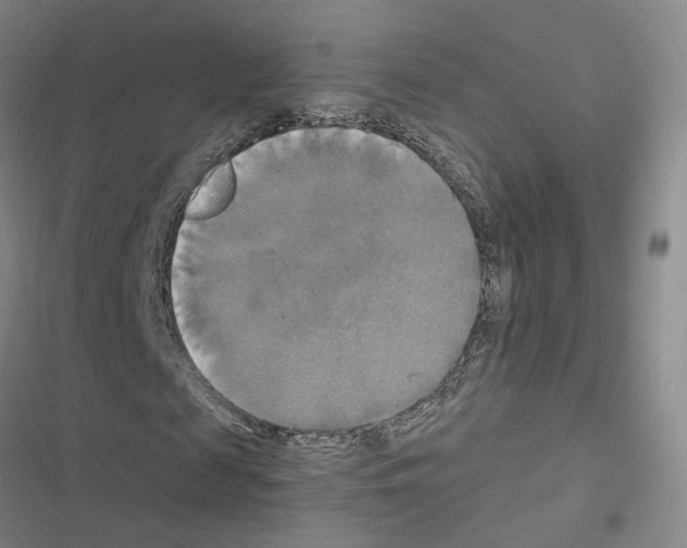 X0000116450817201001191551