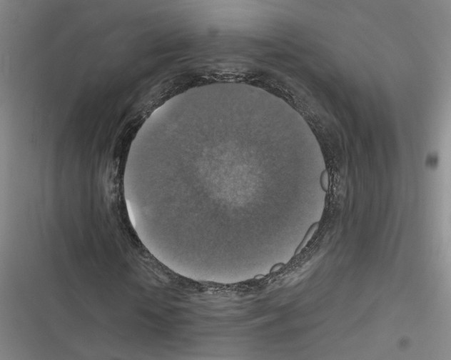 X0000116450818201001191551