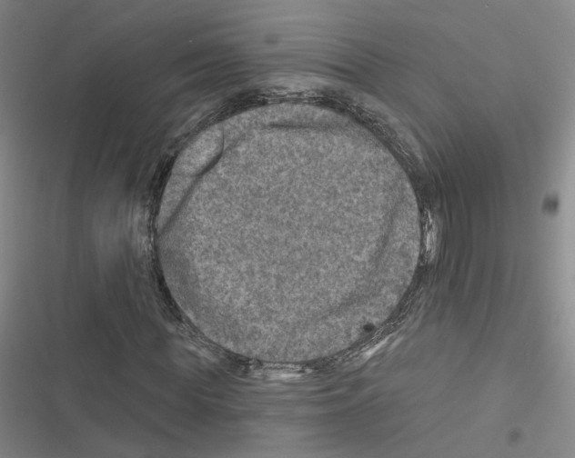 X0000116450819201001191551