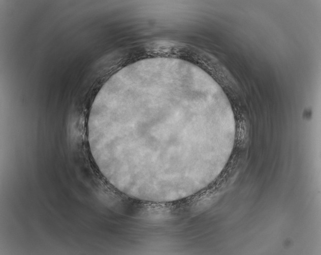 X0000116450820201001191551