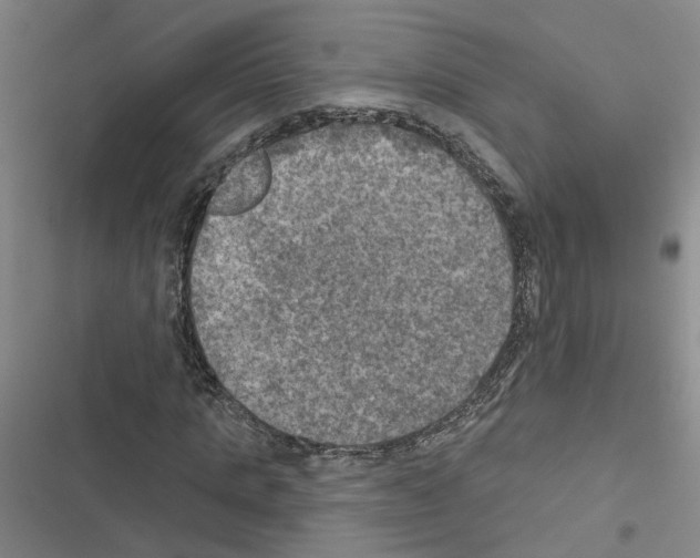 X0000116450821201001191551