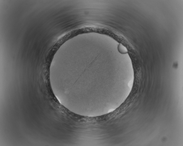 X0000116450822201001191551