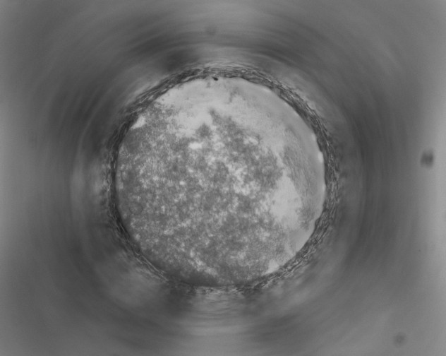 X0000116450824201001191551