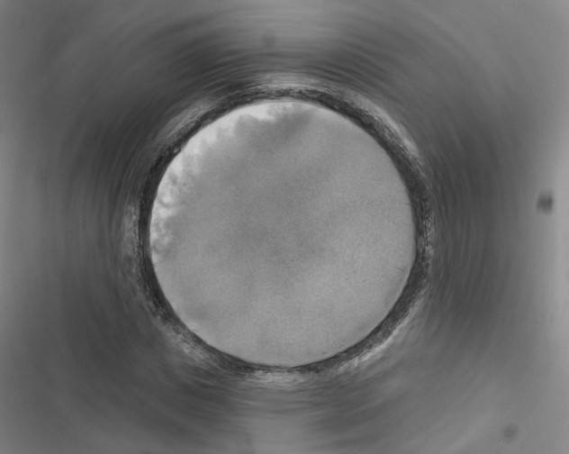 X0000116450825201001191551