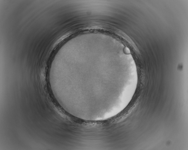X0000116450826201001191551