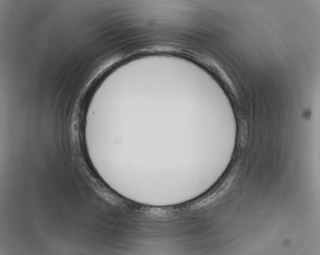 X0000116450827201001191551