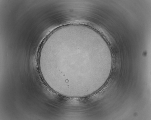 X0000116450828201001191551