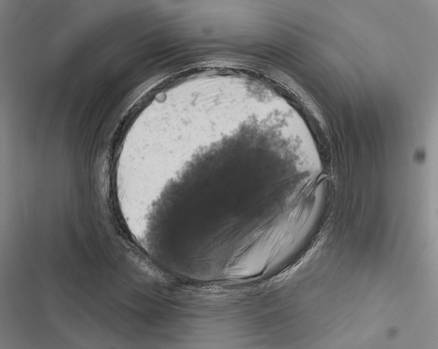 X0000116450829201001191551