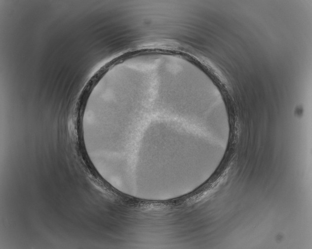 X0000116450830201001191551