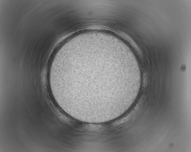 X0000116450831201001191551