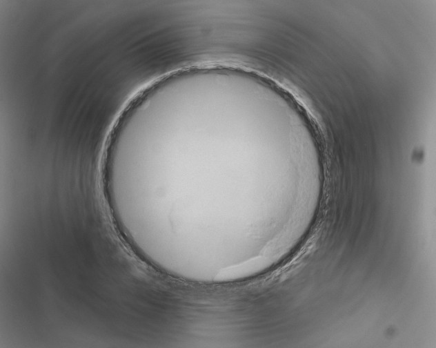 X0000116450832201001191551