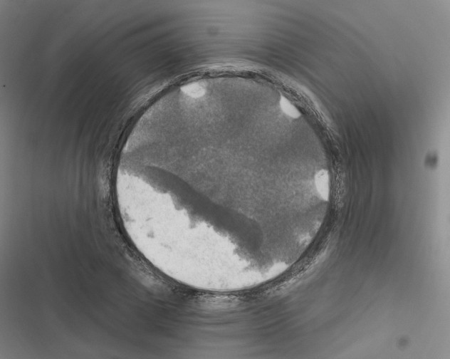 X0000116450833201001191551