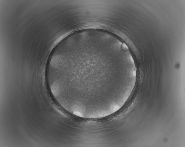X0000116450834201001191551