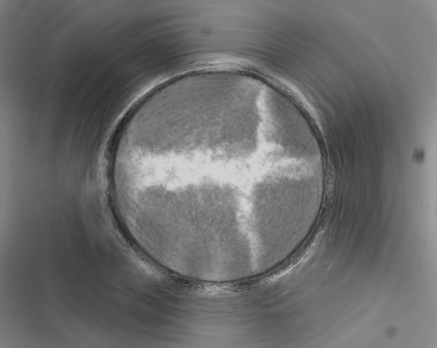 X0000116450835201001191551