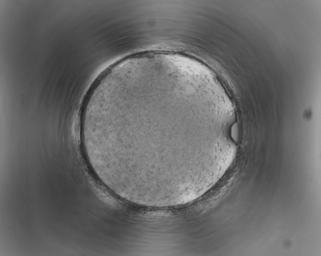 X0000116450838201001191551