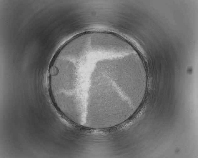 X0000116450839201001191551