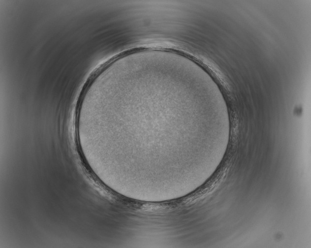 X0000116450840201001191551