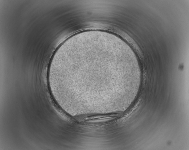 X0000116450842201001191551