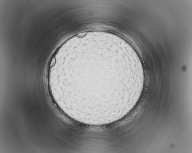 X0000116450843201001191551
