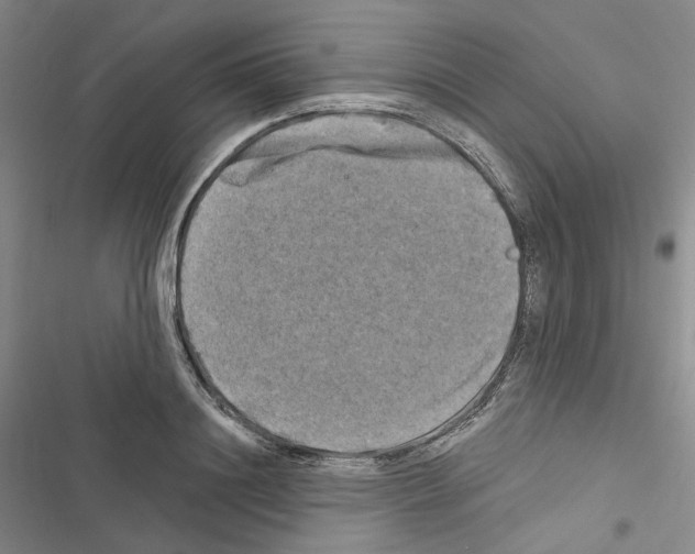 X0000116450844201001191551