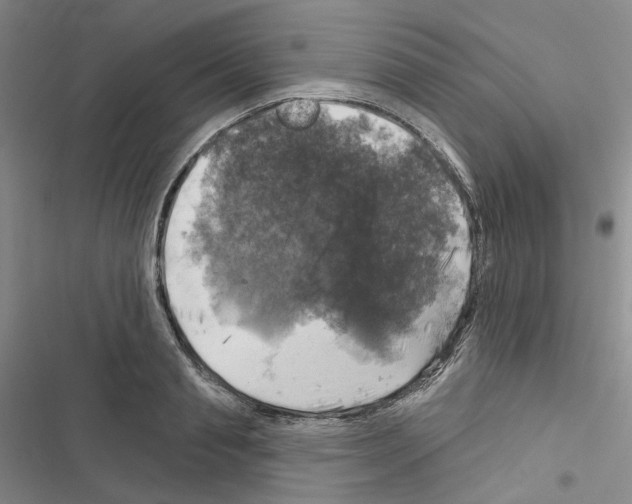 X0000116450845201001191551