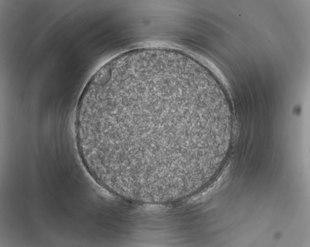 X0000116450847201001191551