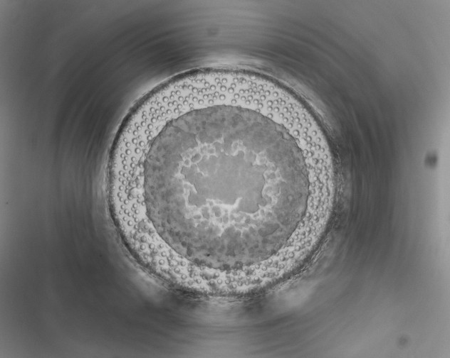 X0000116450848201001191551