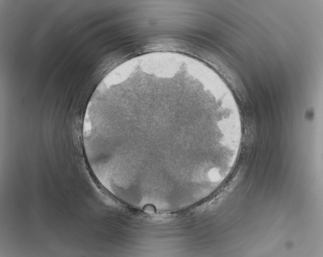 X0000116450849201001191551