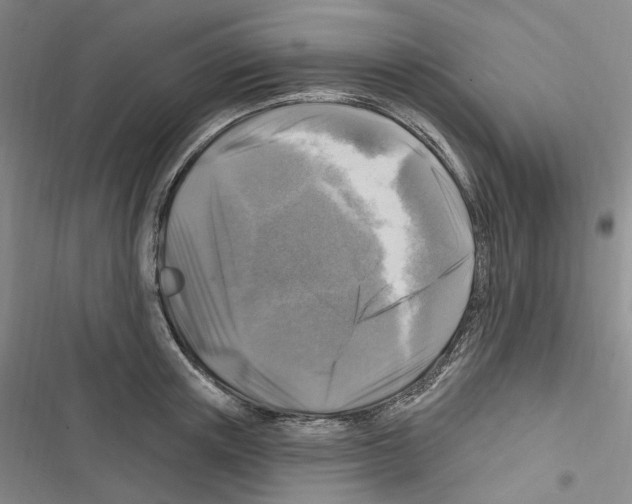 X0000116450851201001191551
