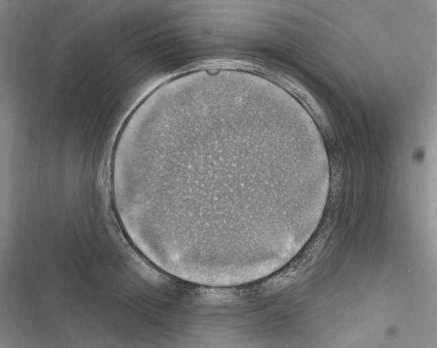 X0000116450852201001191551