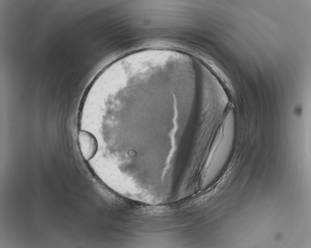 X0000116450853201001191551