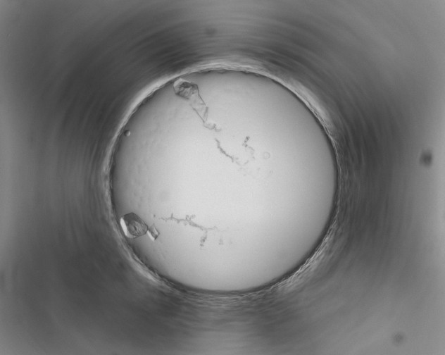 X0000116450854201001191551