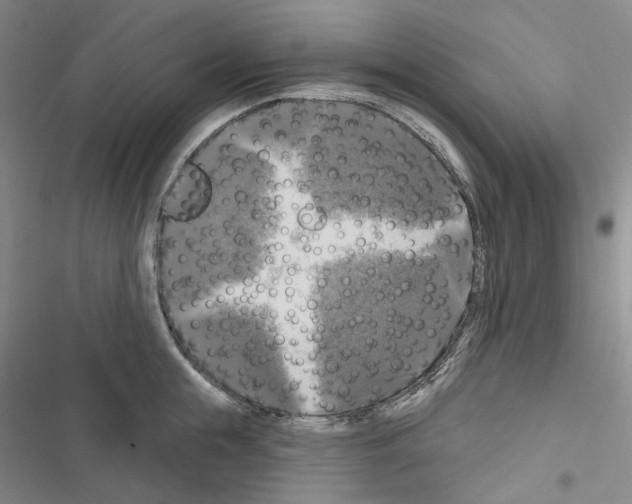 X0000116450855201001191551