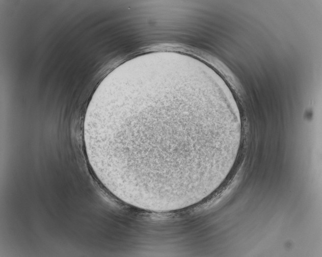 X0000116450857201001191551